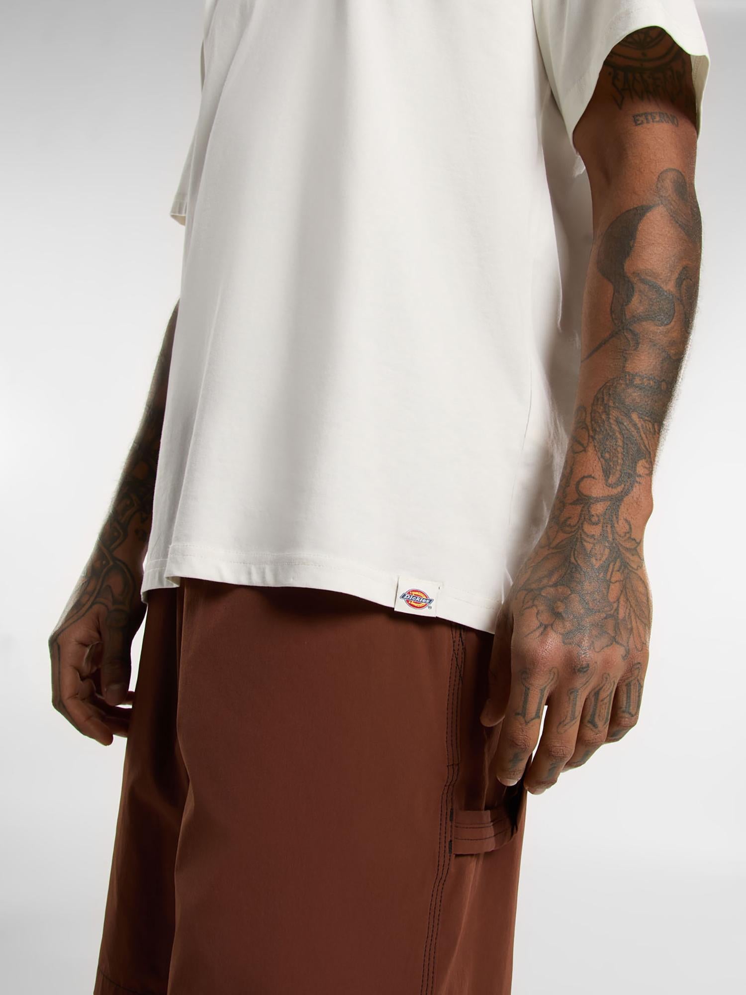 T-shirt Outdoor DK0A4Z8P C481 DICKIES