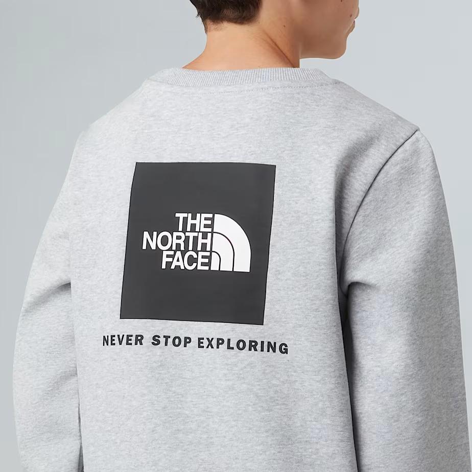 Felpa NSE Box NF0A89H7 DYX1 THE NORTH FACE