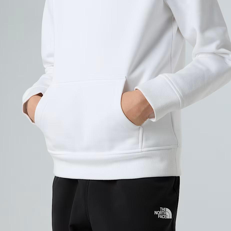 Felpa con cappuccio NF0A89H9 LA91 THE NORTH FACE