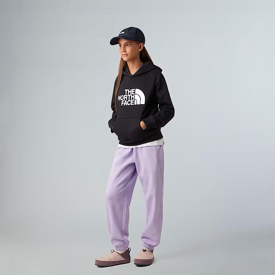 Felpa pullover con cappuccio NF0A8EHH JK31 THE NORTH FACE