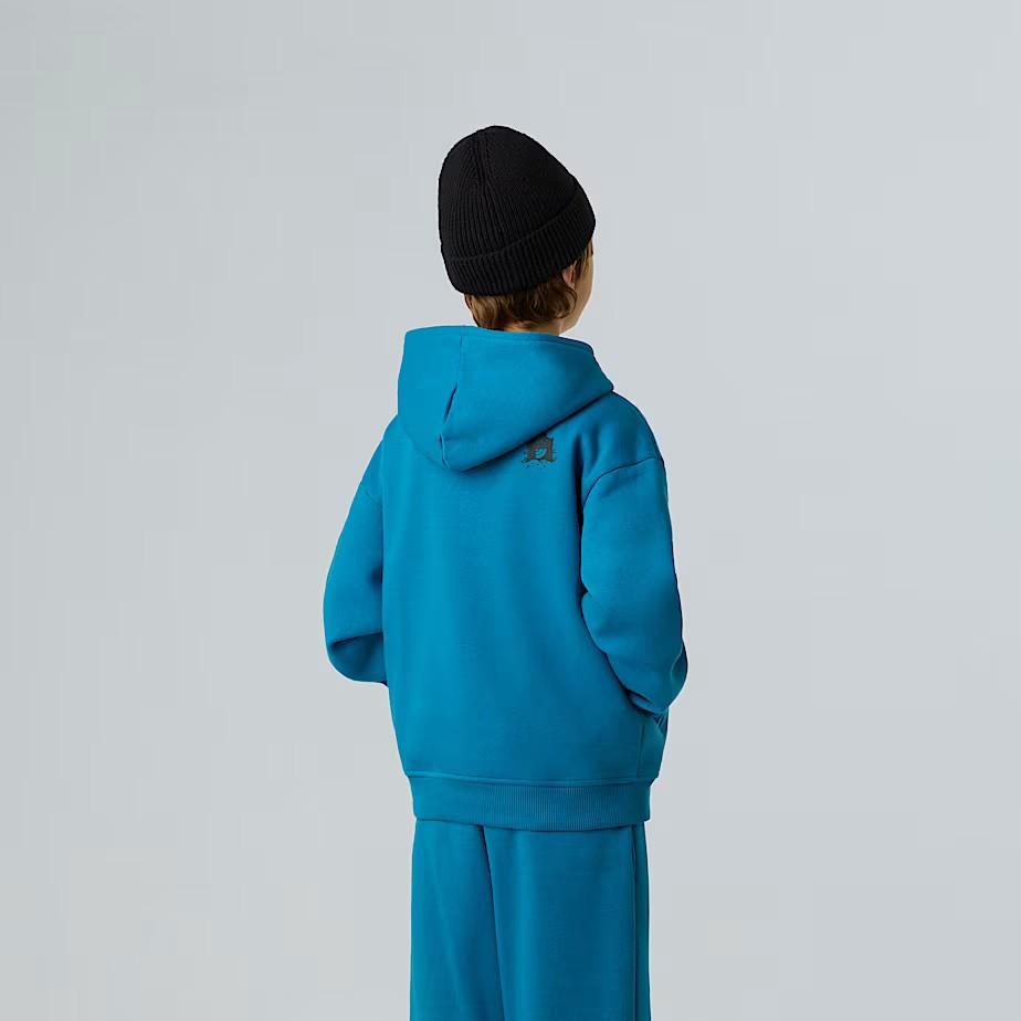 Felpa con cappuccio NF0A8EAM BOM1 THE NORTH FACE