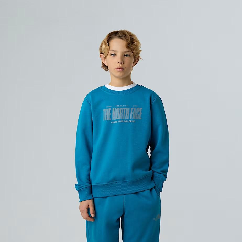 Felpa girocollo NF0A8EAT BOM1 THE NORTH FACE