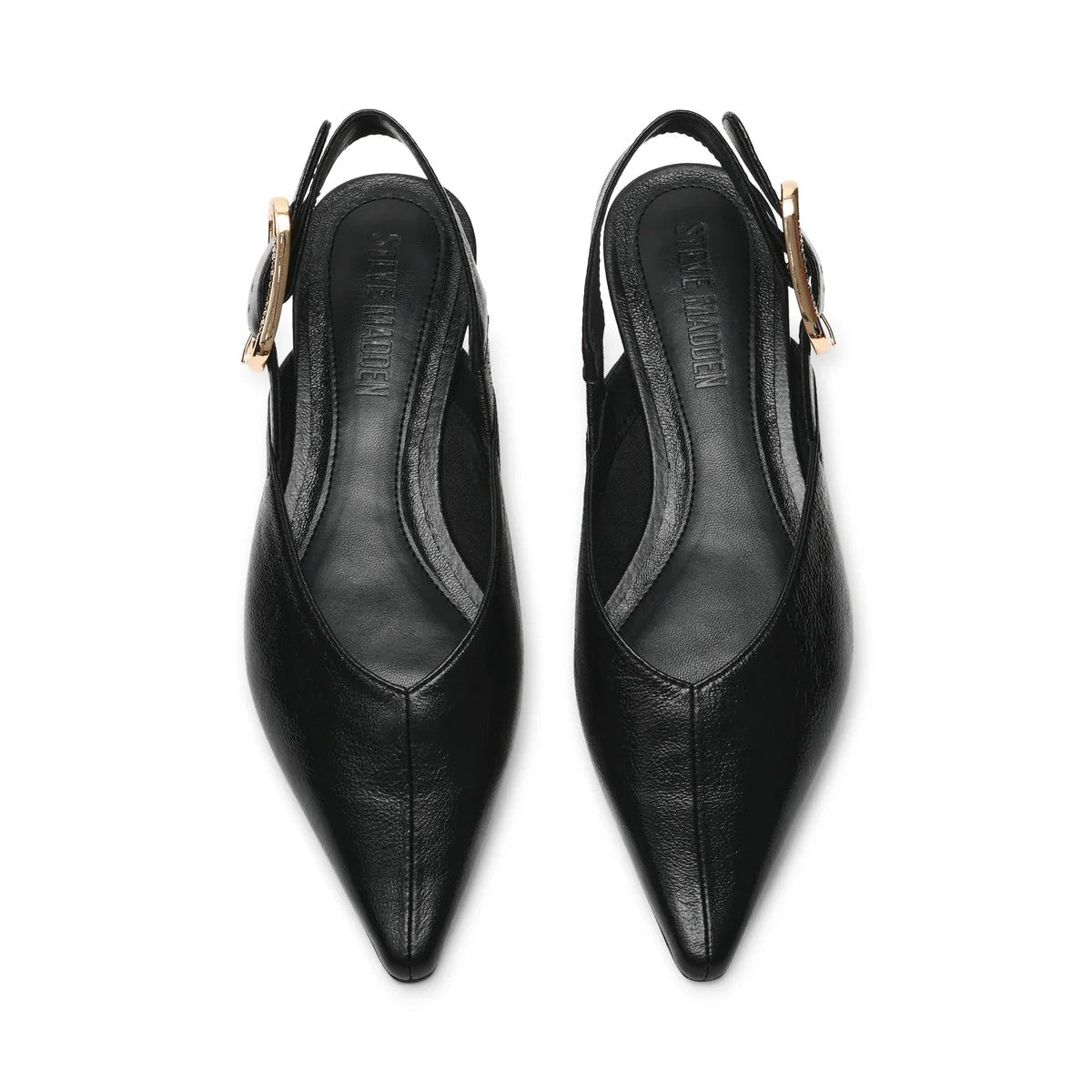 Sianna Décolleté  SMSSIANNA 17 STEVE MADDEN 