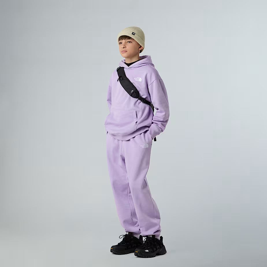 Pantaloni tuta NF0A8BHSA QZI1 THE NORTH FACE 