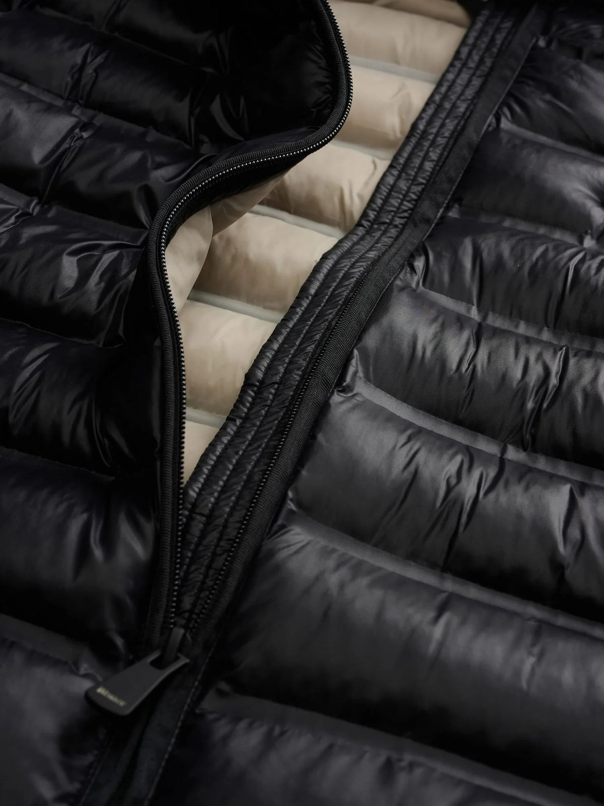 Giubbotto Ellis 26WBLDC02221 999EB BLAUER 