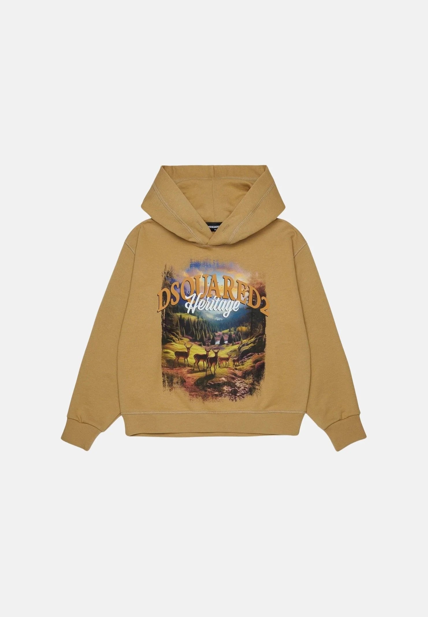 Felpa con cappuccio DQ3420D0AIS DQ776 DSQUARED2 