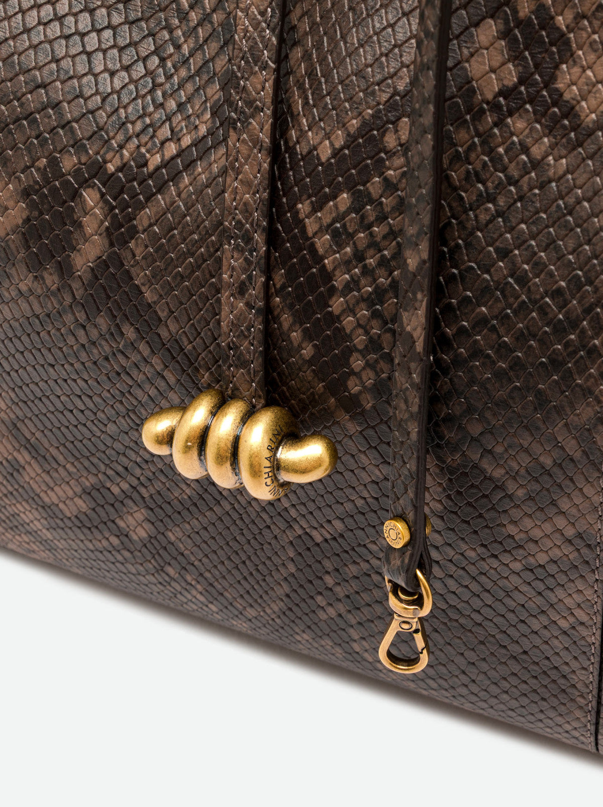 Infinity BS12492PTY 2107 GIANNI CHIARINI 