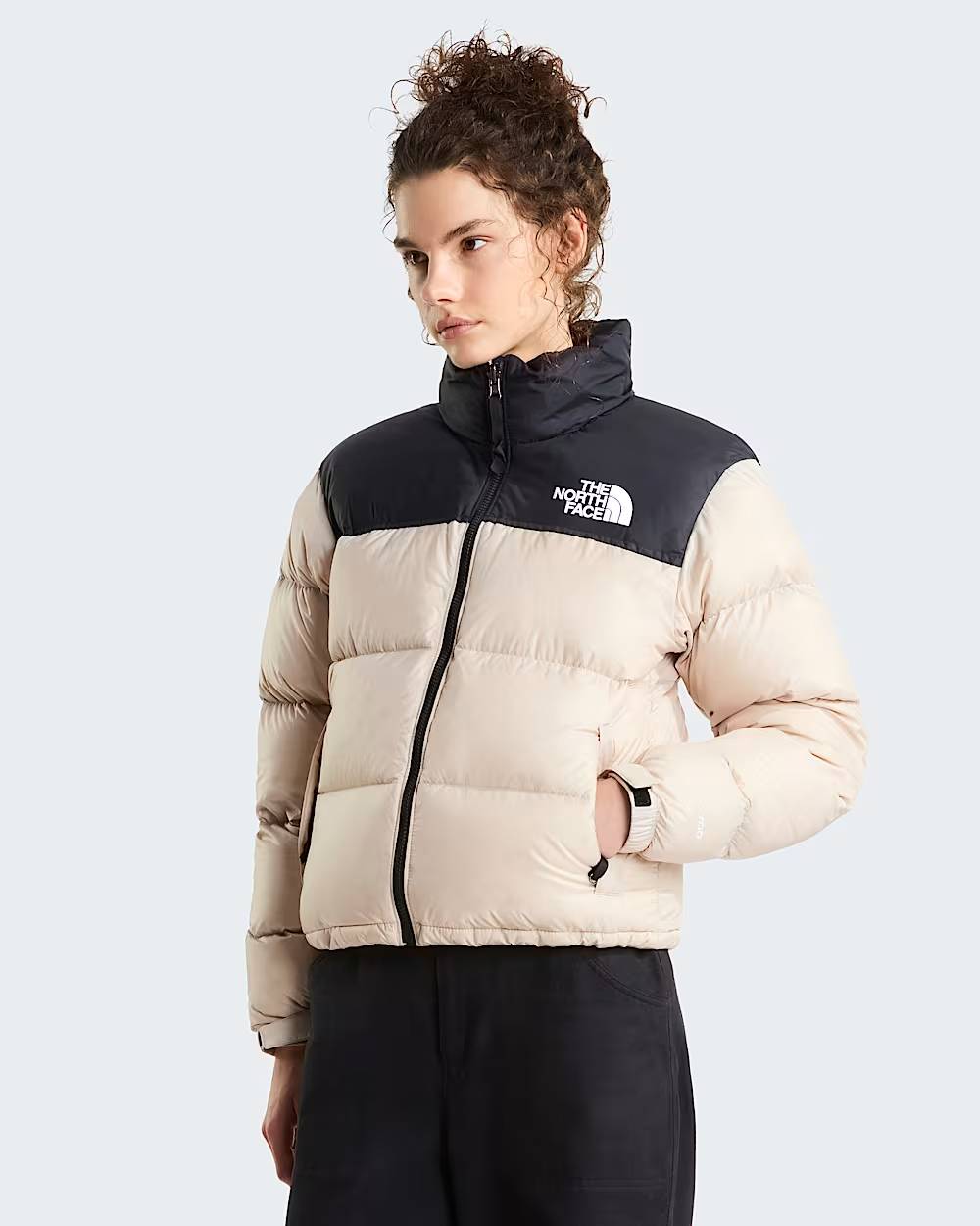 Giacca 1996 Retro Nuptse NF0A3XEO PC71 THE NORTH FACE 