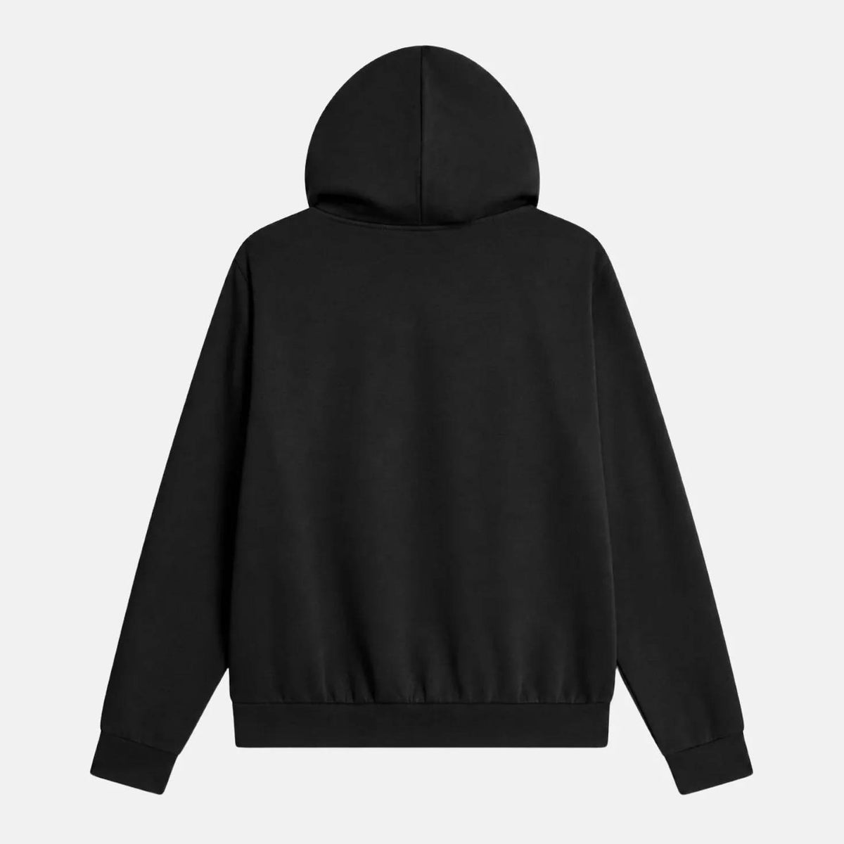 Felpa con cappuccio Evolution Simple Dome NF0A8CWM JK31 THE NORTH FACE 