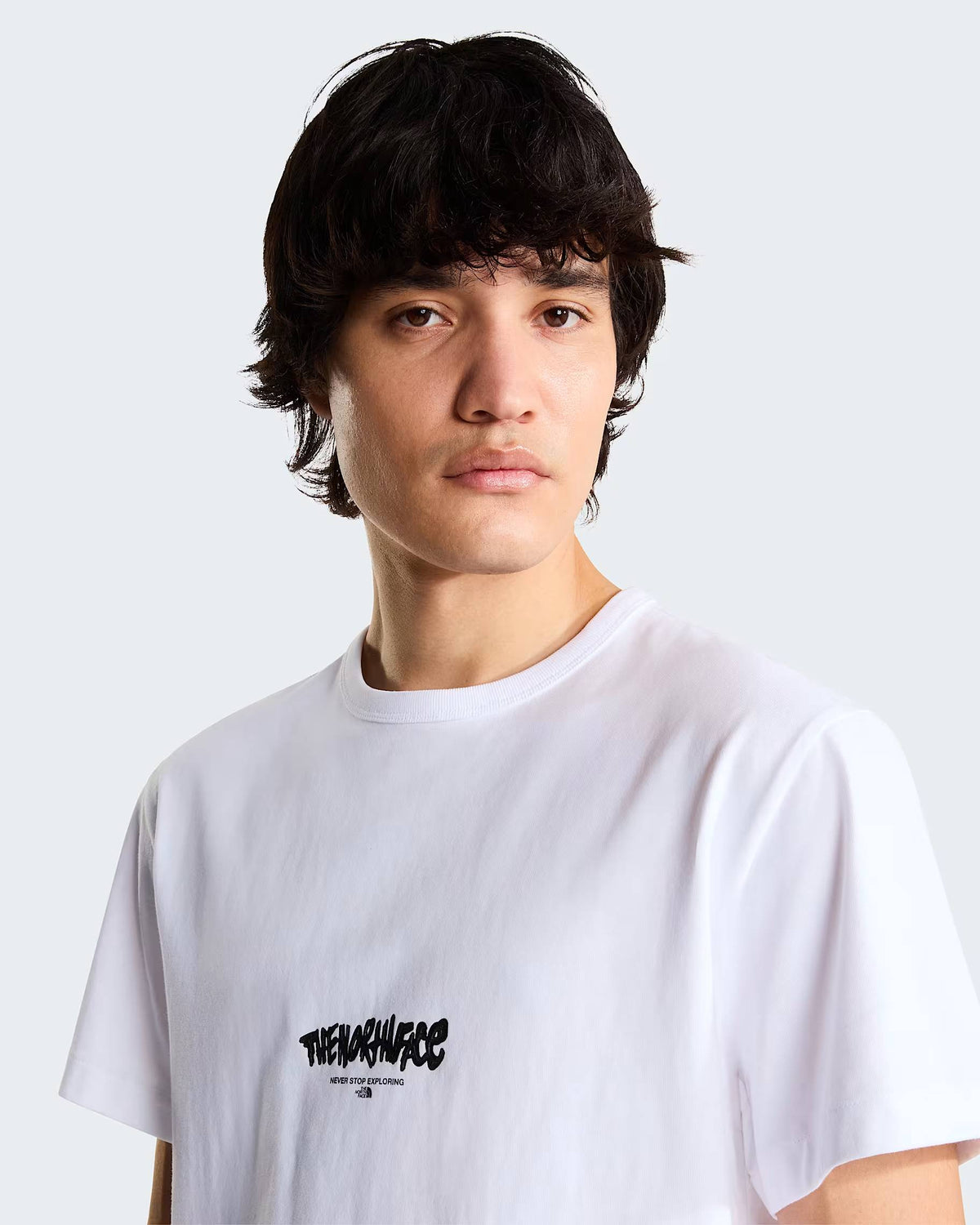 T-shirt TNF Tag Relaxed Logo Play unisex NF0A8JA6 FN41 THE NORTH FACE 