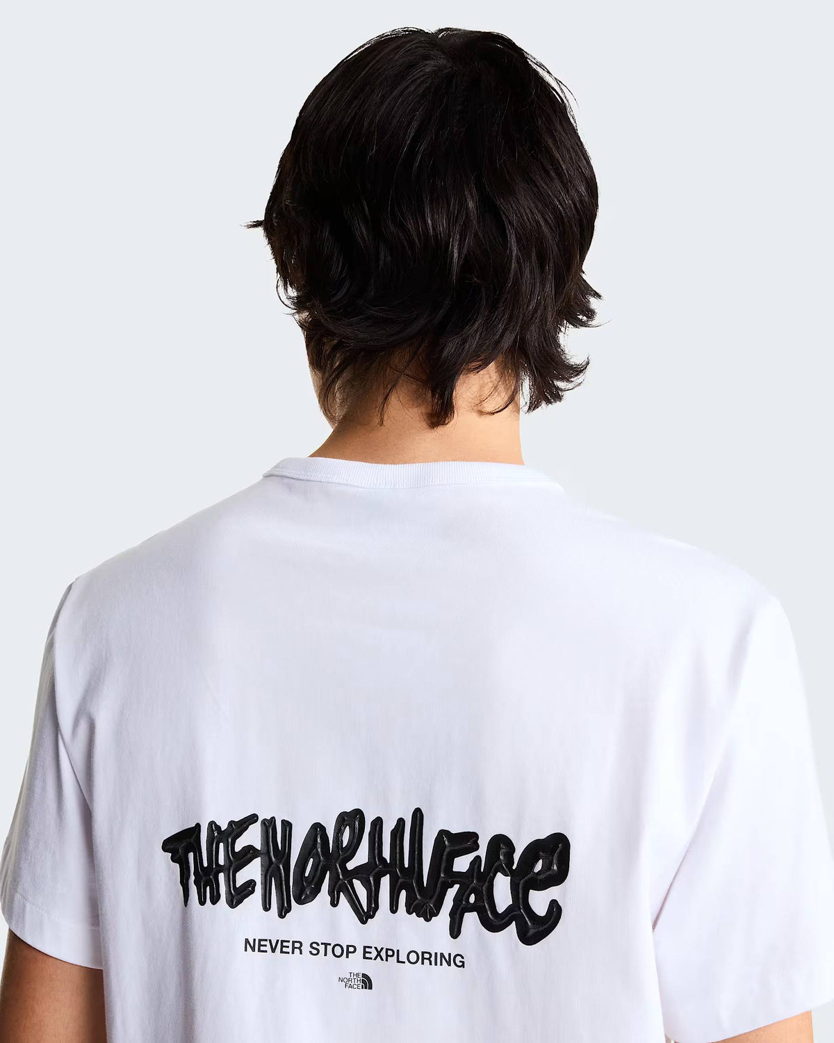 T-shirt TNF Tag Relaxed Logo Play unisex NF0A8JA6 FN41 THE NORTH FACE 