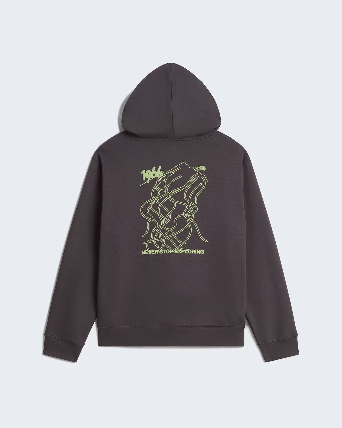 Felpa con cappuccio NSE Slopes Relaxed Graphic unisex NF0A8JA7 RHI1 THE NORTH FACE 
