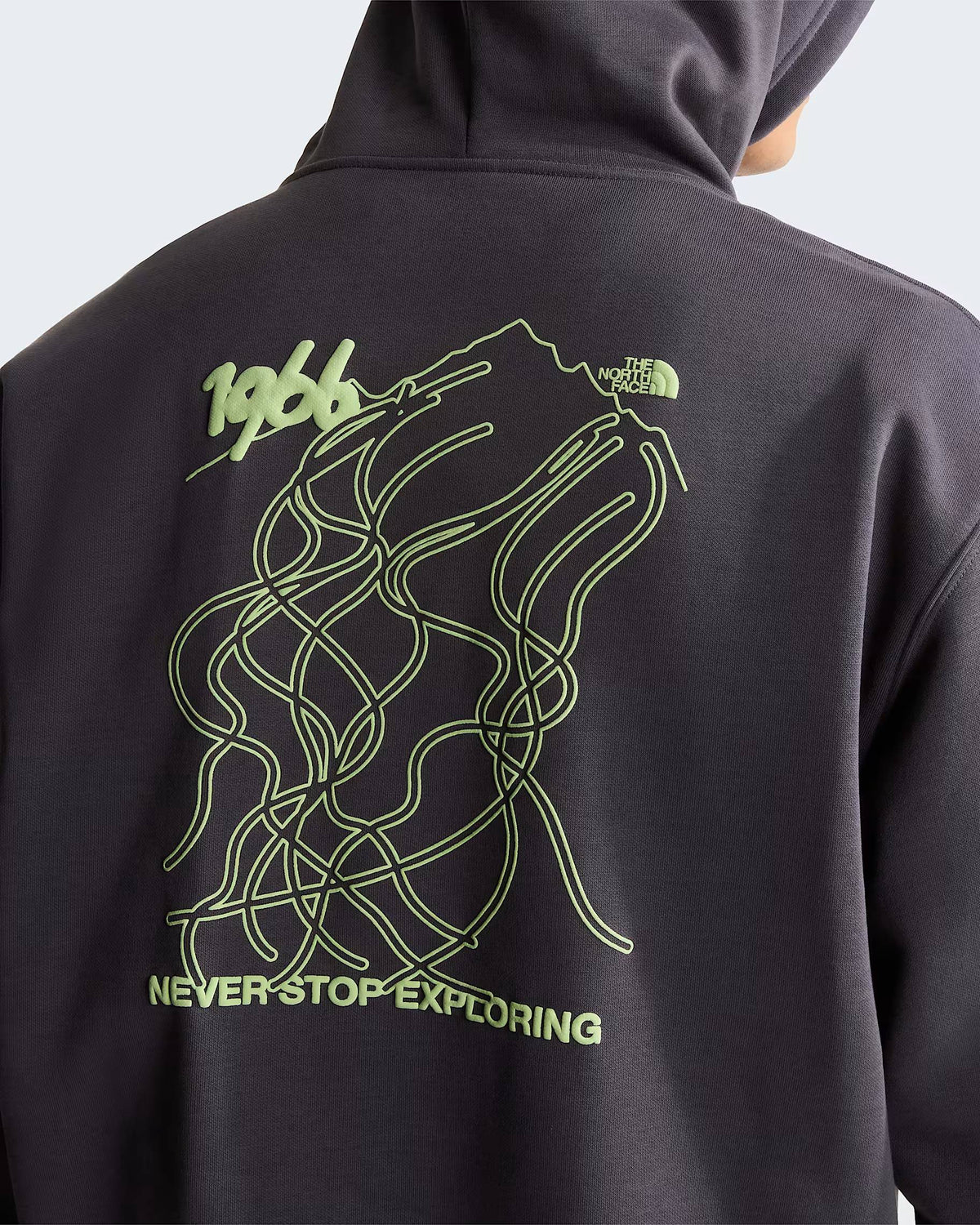 Felpa con cappuccio NSE Slopes Relaxed Graphic unisex NF0A8JA7 RHI1 THE NORTH FACE 
