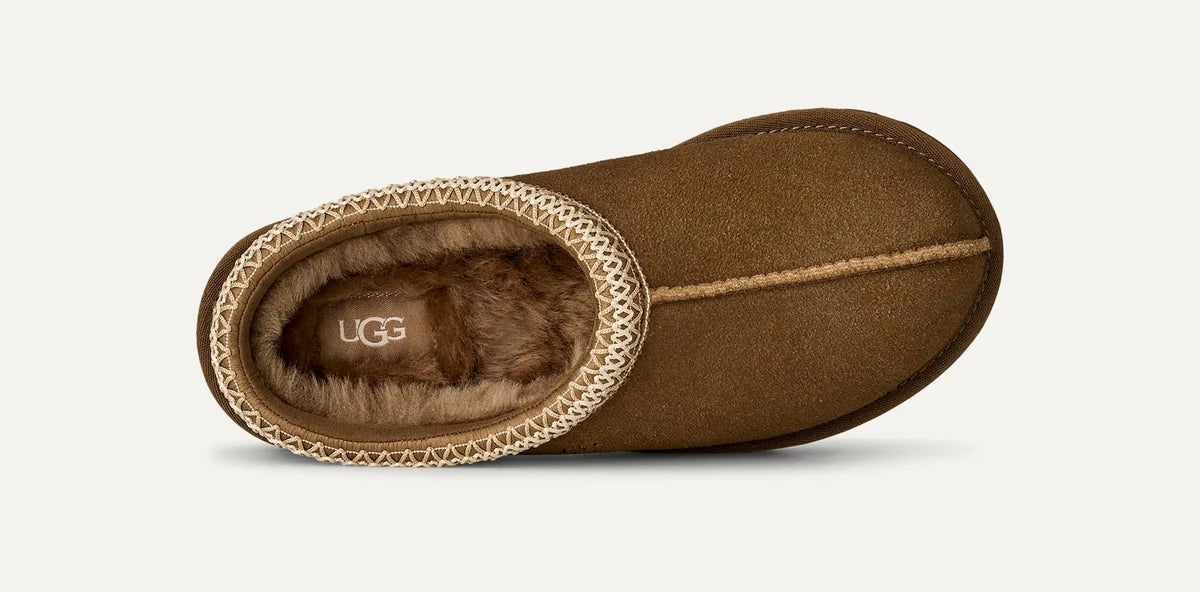 Tasman II 1174470 LBNZ UGG 