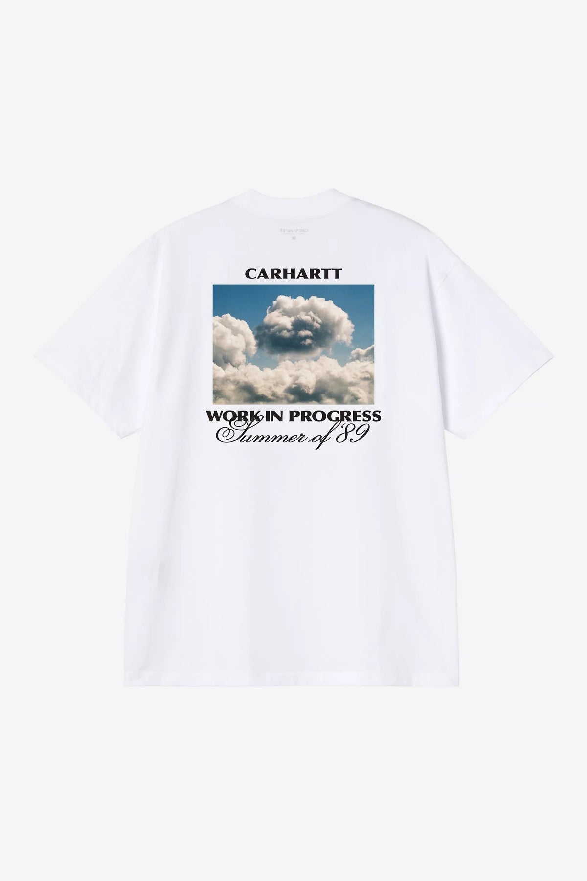 S/S Warm Views T-Shirt I036246 02XX CARHARTT WIP 