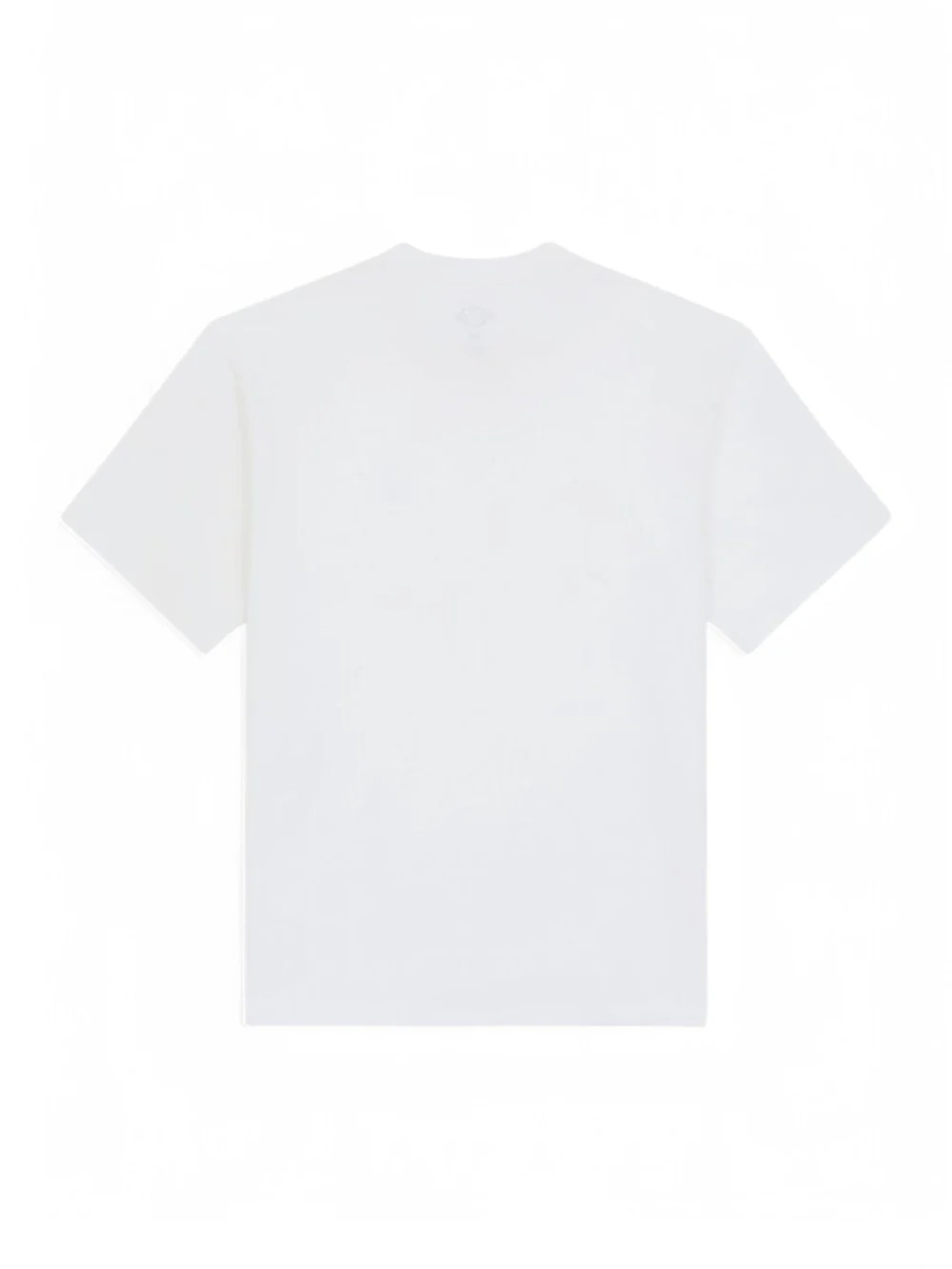 T-shirt Clancy Heavyweight DK0A4Z4L 0WH1 DICKIES 