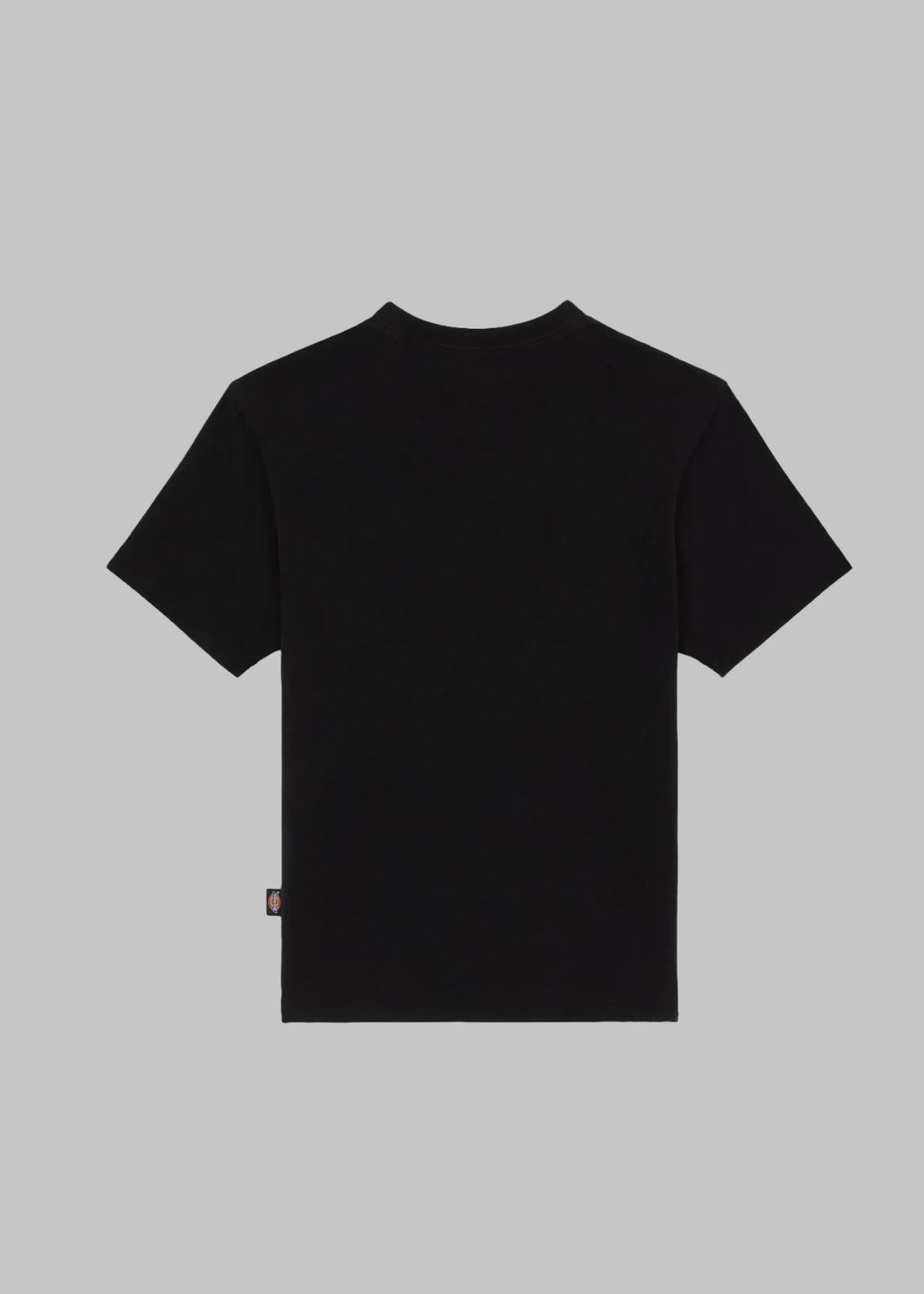 Maple valley reg tee DK0A4ZAO BLK1 DICKIES 