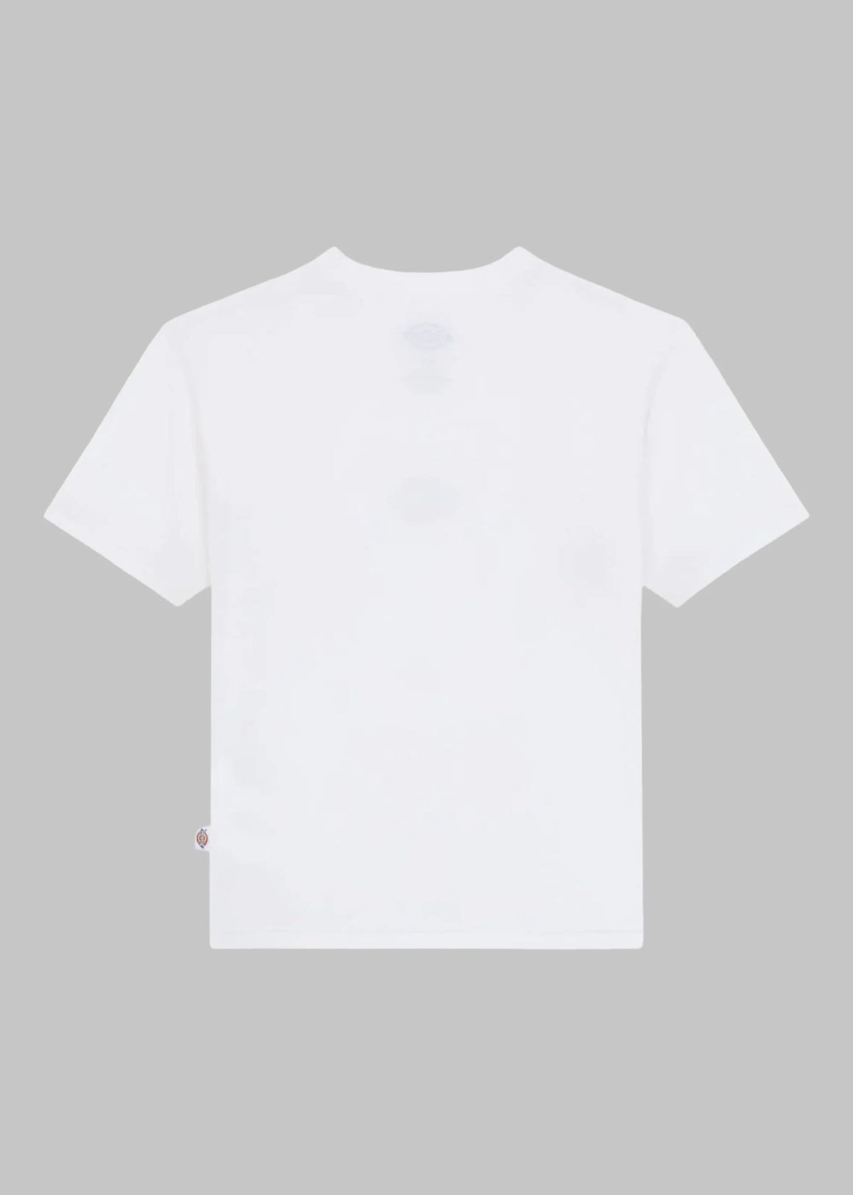 Maple valley reg tee DK0A4ZAO OWH1 DICKIES 