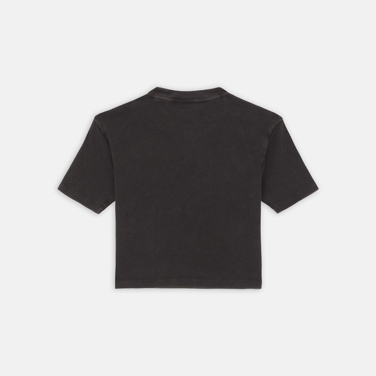 T-shirt con logo ricamato DK0A866F BLK1 DICKIES 