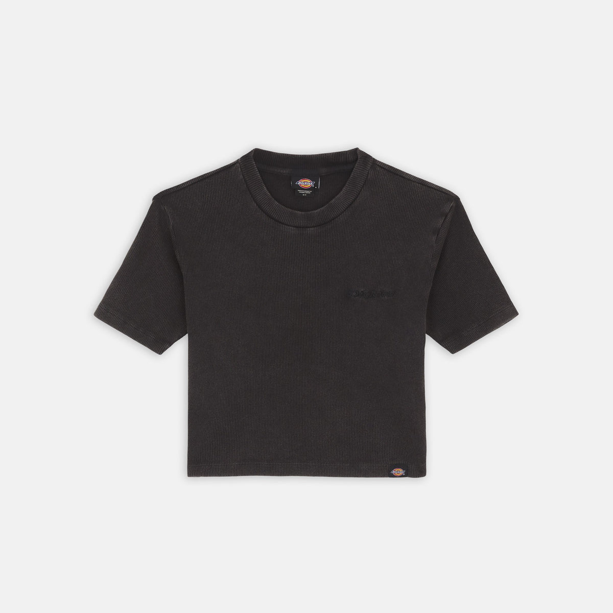 T-shirt con logo ricamato DK0A866F BLK1 DICKIES 