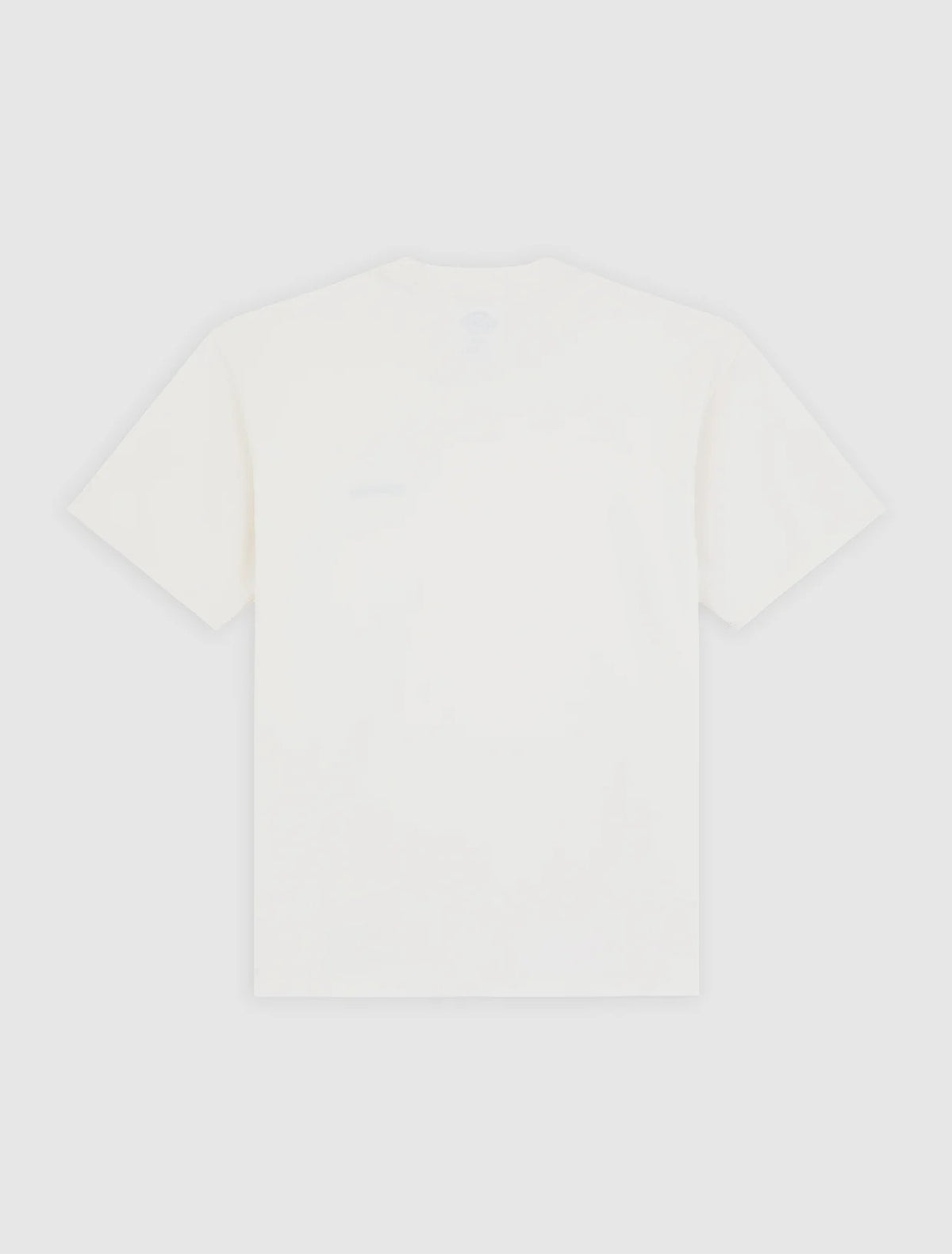 T-shirt di peso medio Loretto DK0A89EN ECR1 DICKIES 
