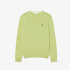 Pullover girocollo monocromatico in cotone