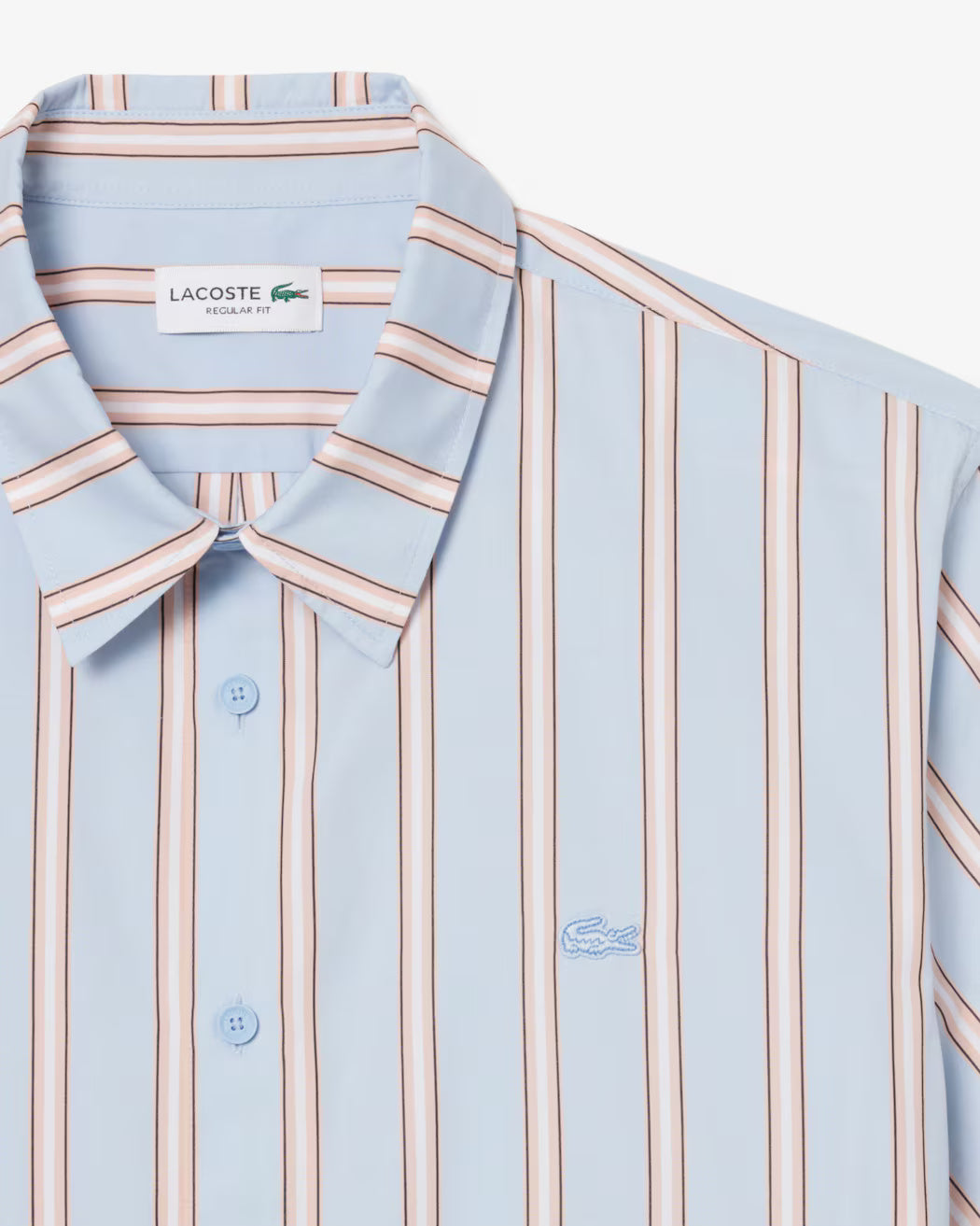 Camicia regular fit in popeline a righe CH2344 ZWV LACOSTE 