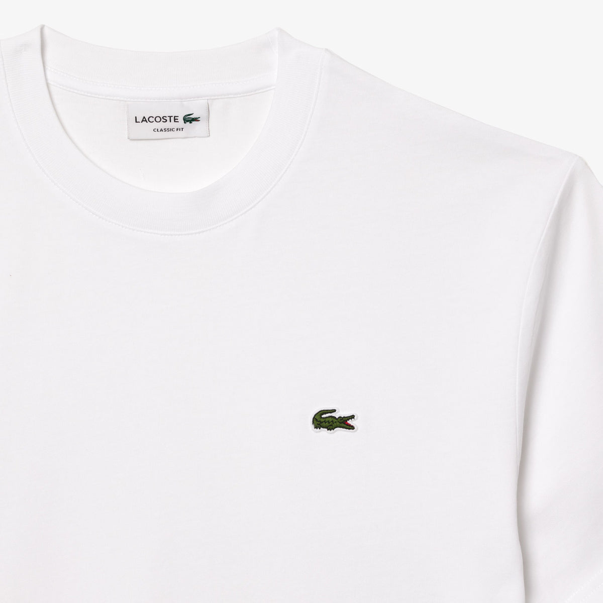 T-shirt in cotone TH7318 001 LACOSTE 