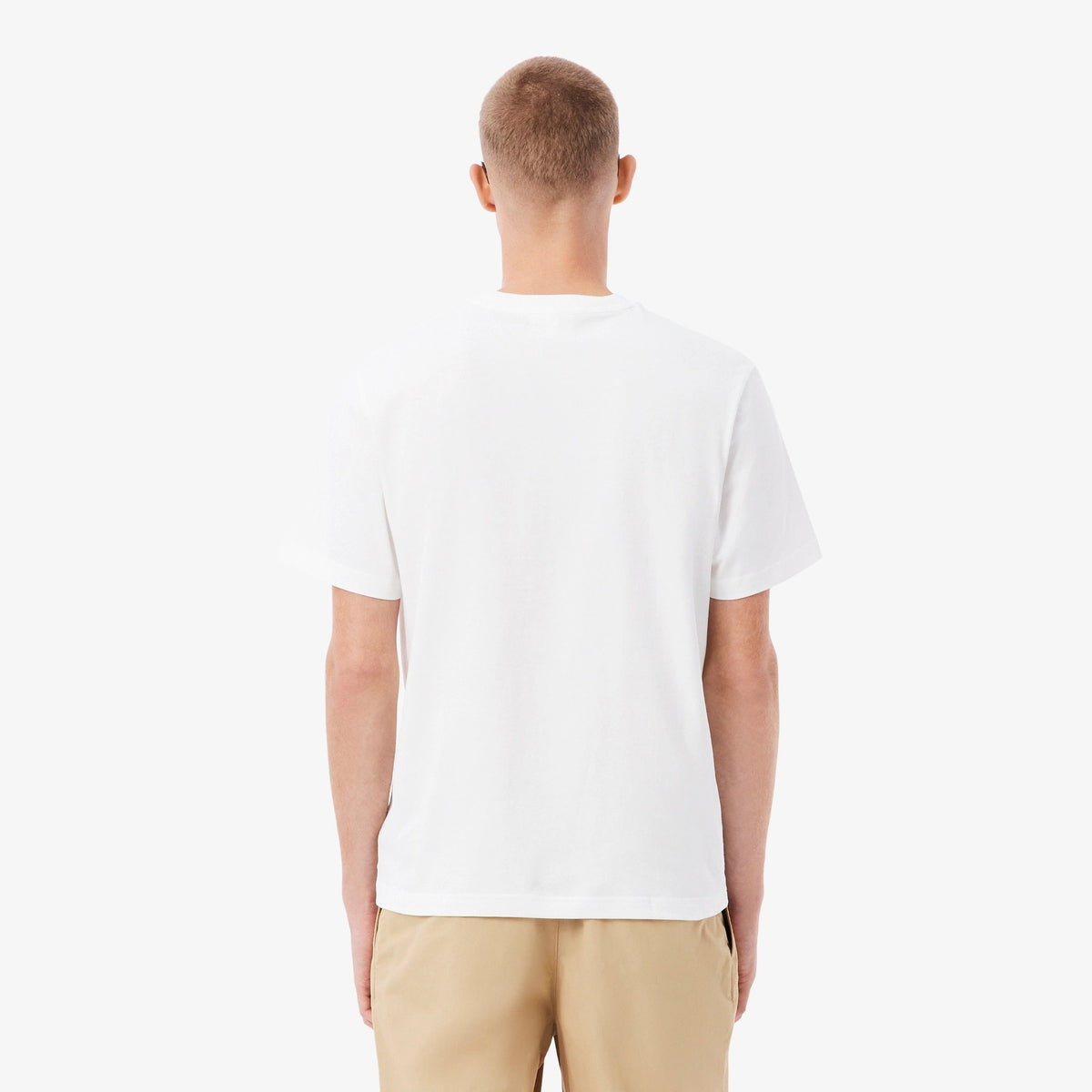 T-shirt in cotone TH7318 001 LACOSTE 
