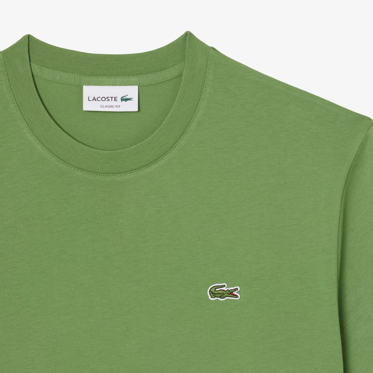 T-shirt in cotone TH7318 02M LACOSTE 