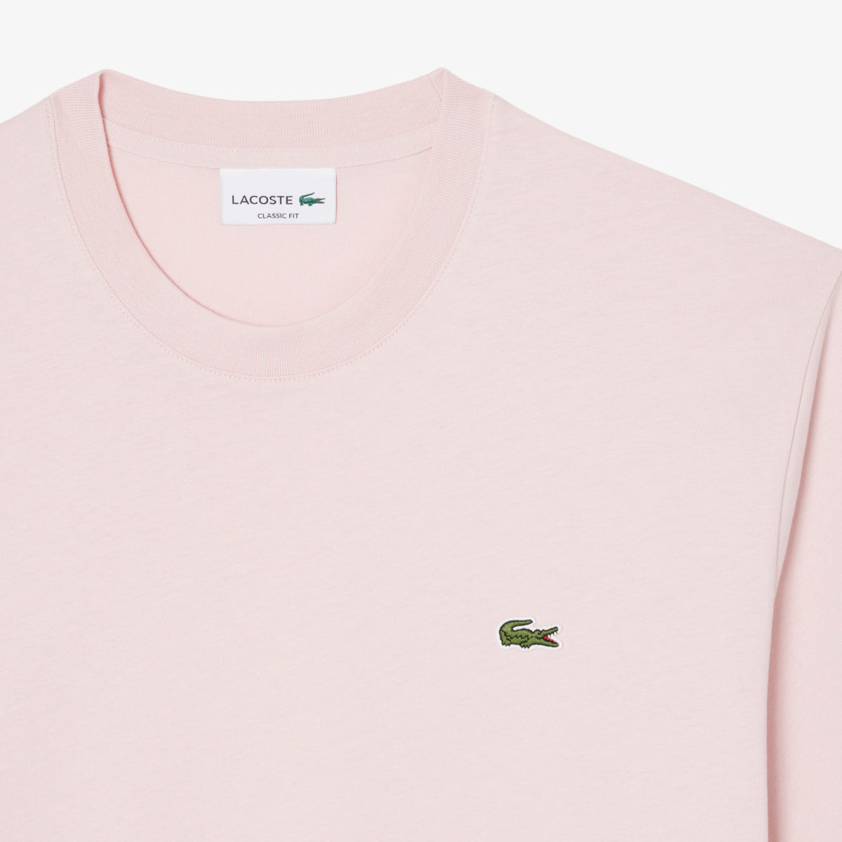 T-shirt in cotone TH7318 ADY LACOSTE 