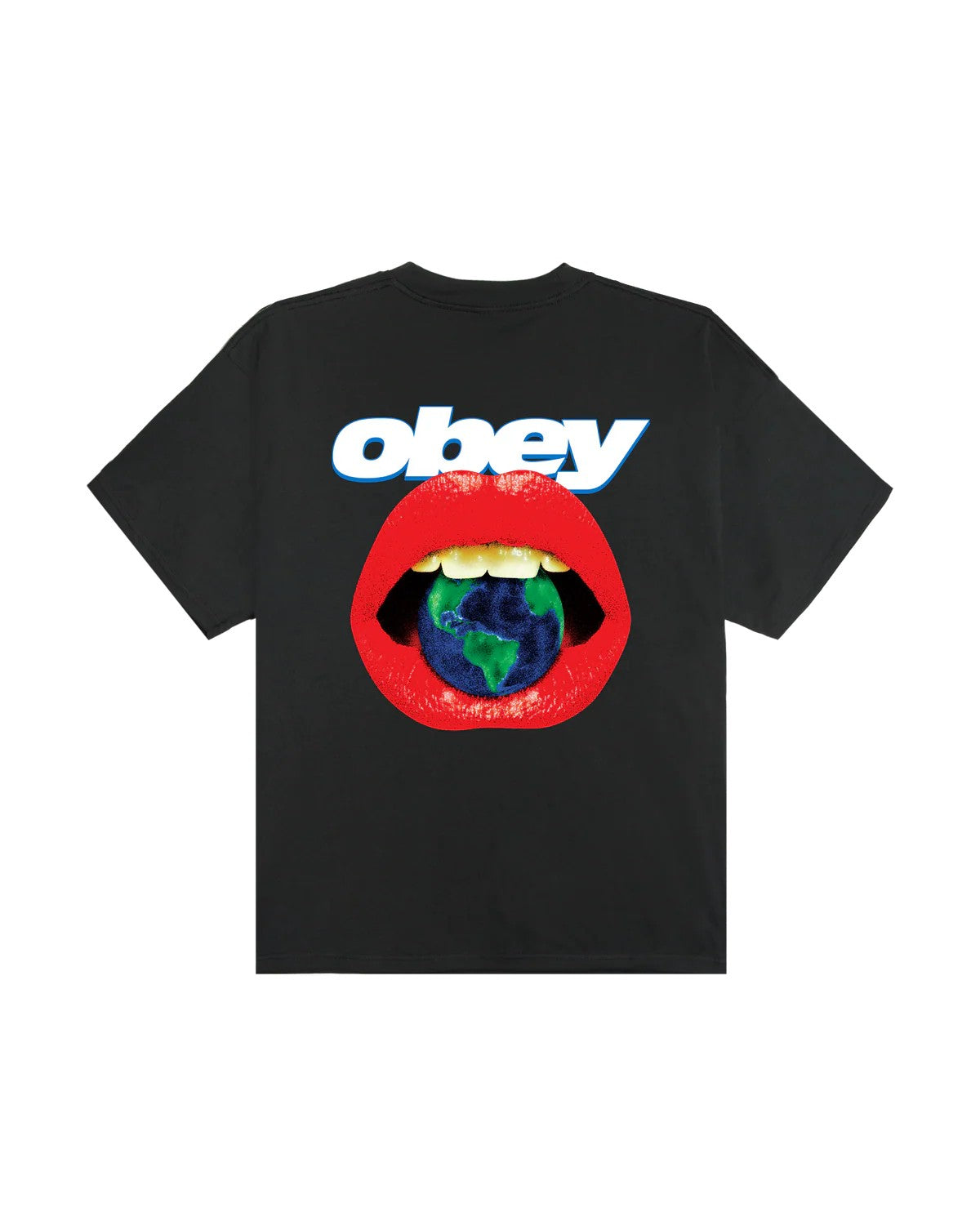 Lips heavyweight t-shirt 168024359 VBL OBEY 