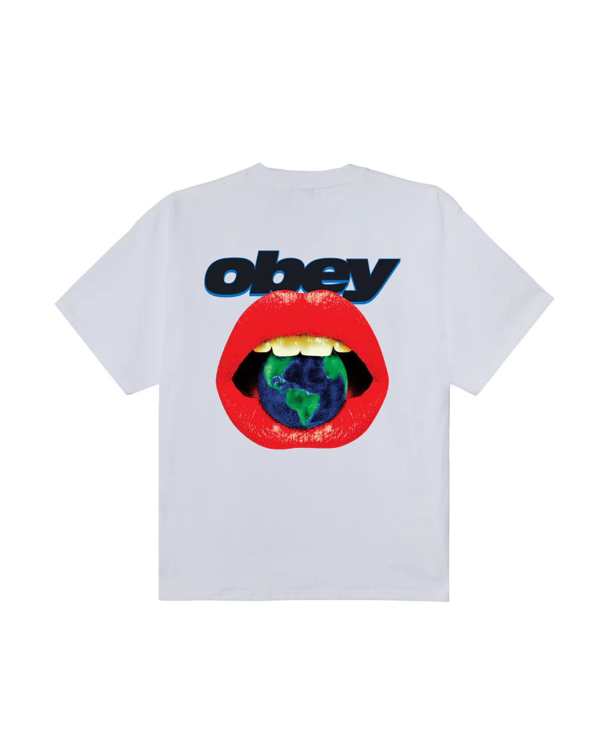 Lips heavyweight t-shirt 168024359 WHT OBEY 