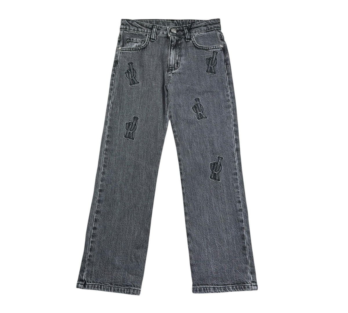 Jeans con ricami RBP26090JE DBLACK RICHMOND 