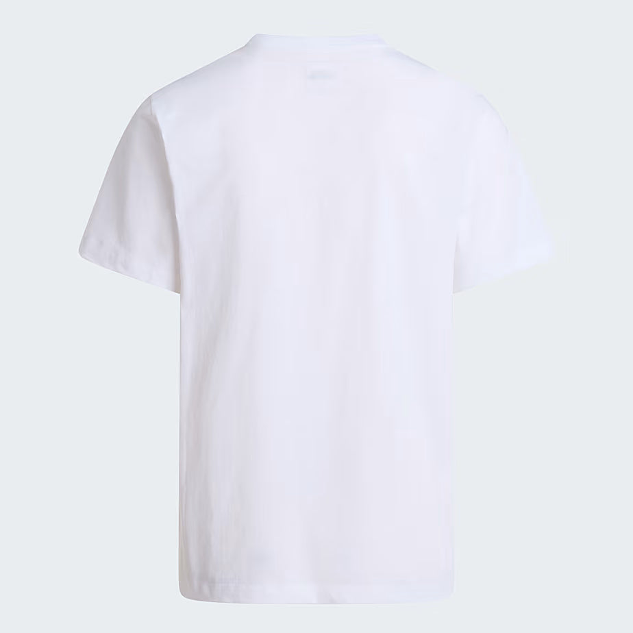 T-shirt Evolution Simple Dome Regular da uomo NF0A8CZ2 FN41 THE NORTH FACE 