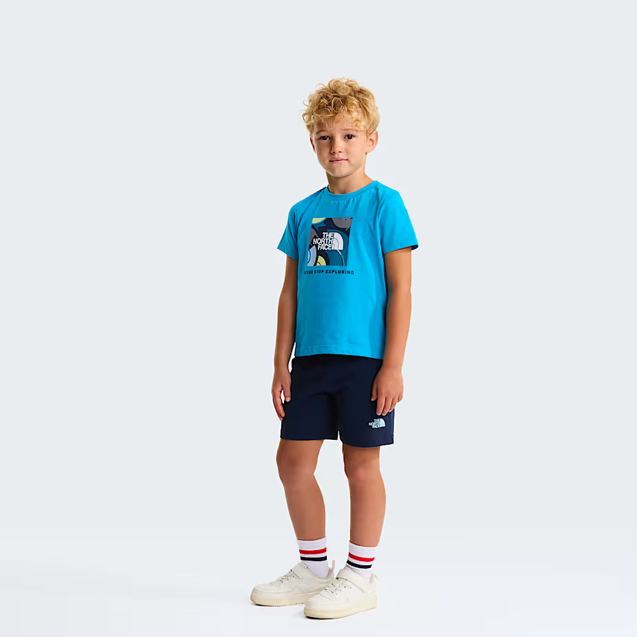 Set NSE Box Play Regular con pantaloncini NF0A8G1H DGY1 THE NORTH FACE 