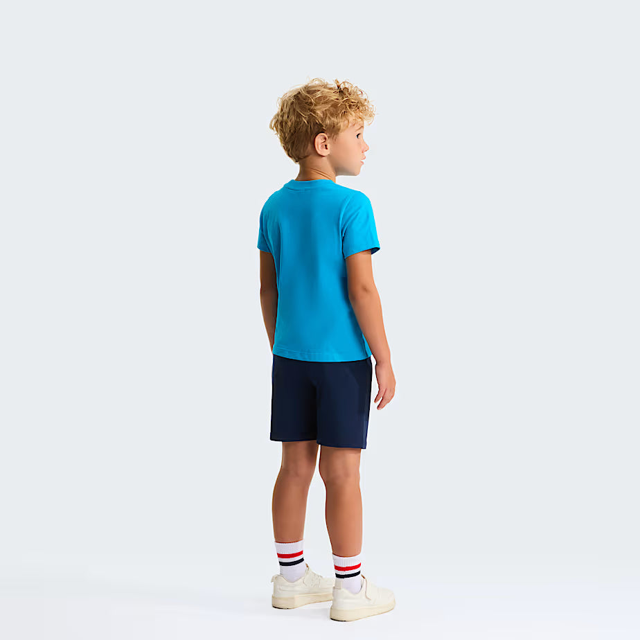 Set NSE Box Play Regular con pantaloncini NF0A8G1H DGY1 THE NORTH FACE 