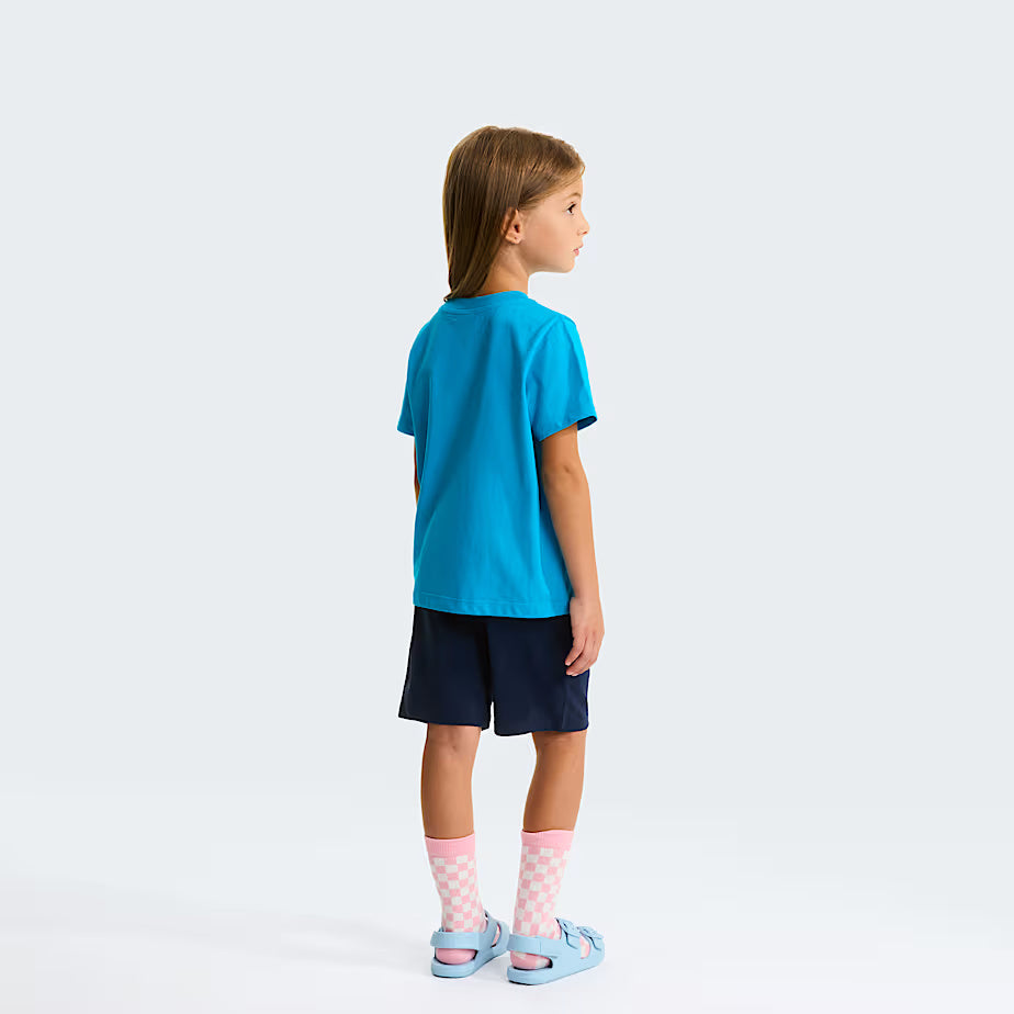 Set NSE Box Play Regular con pantaloncini NF0A8G1H DGY1 THE NORTH FACE 