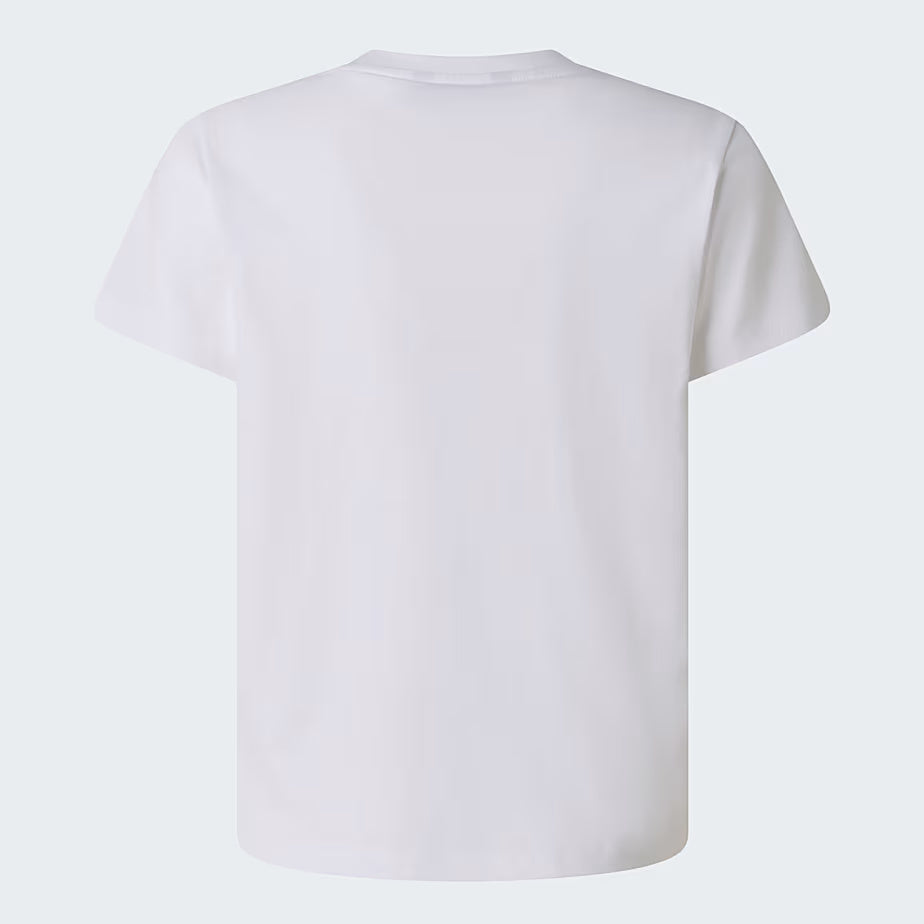 T-shirt Liquid Logo Regular NF0A8G1W FN41 THE NORTH FACE 