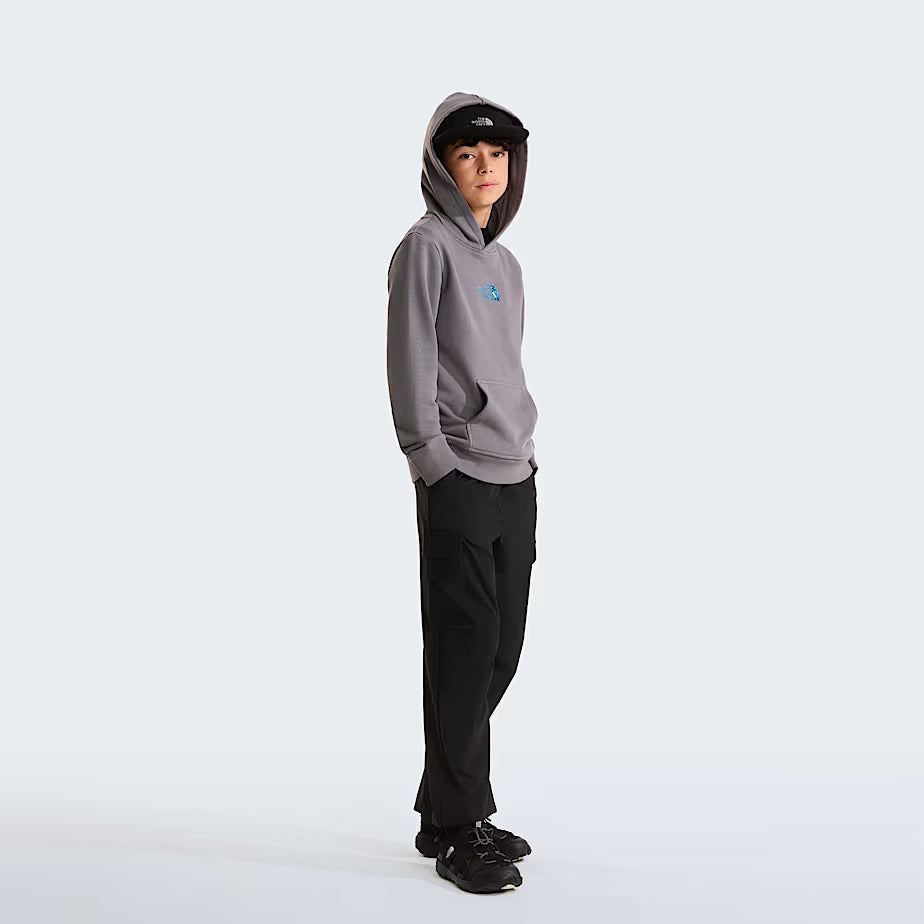 Felpa con cappuccio Liquid Logo Regular NF0A8G1Y 0UZ1 THE NORTH FACE 