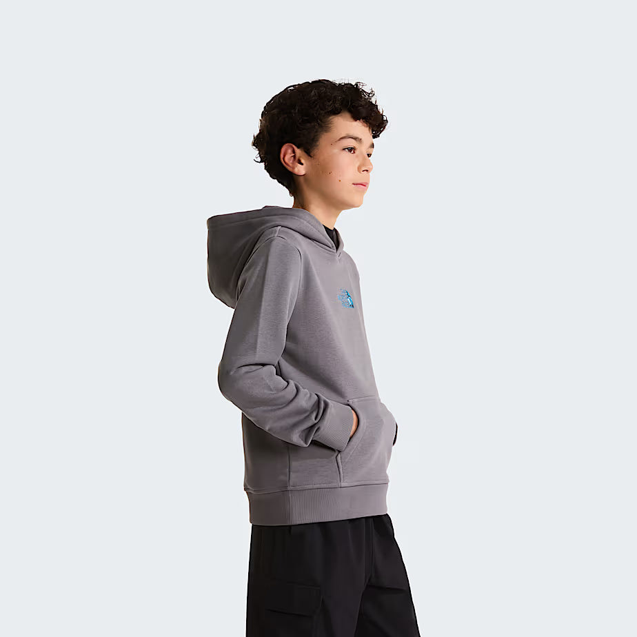 Felpa con cappuccio Liquid Logo Regular NF0A8G1Y 0UZ1 THE NORTH FACE 