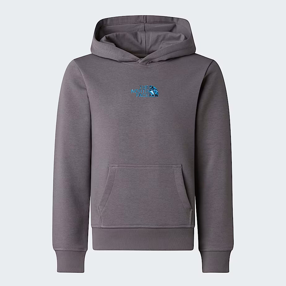 Felpa con cappuccio Liquid Logo Regular NF0A8G1Y 0UZ1 THE NORTH FACE 