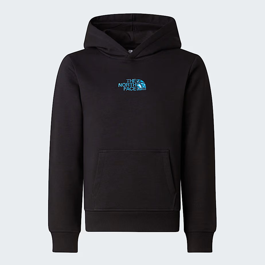 Felpa con cappuccio Liquid Logo Regular NF0A8G1Y JK31 THE NORTH FACE 