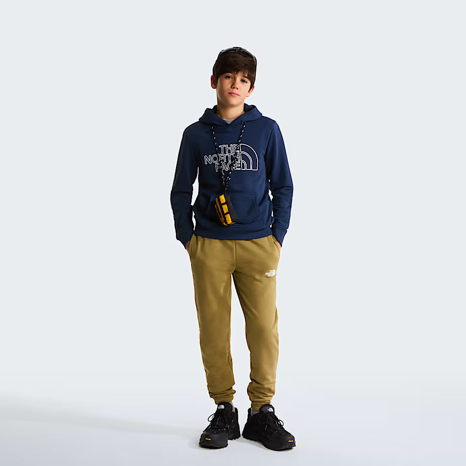 Felpa con cappuccio Drew Peak Light Regular NF0A8GR8 8K21 THE NORTH FACE 