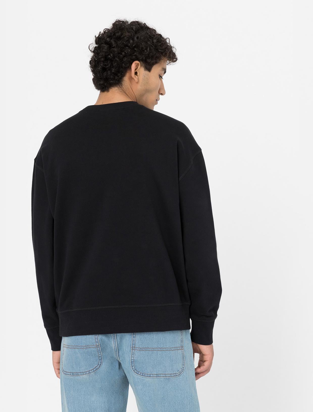 Felpa Millersburg DK0A4YLZ BLK1 DICKIES 