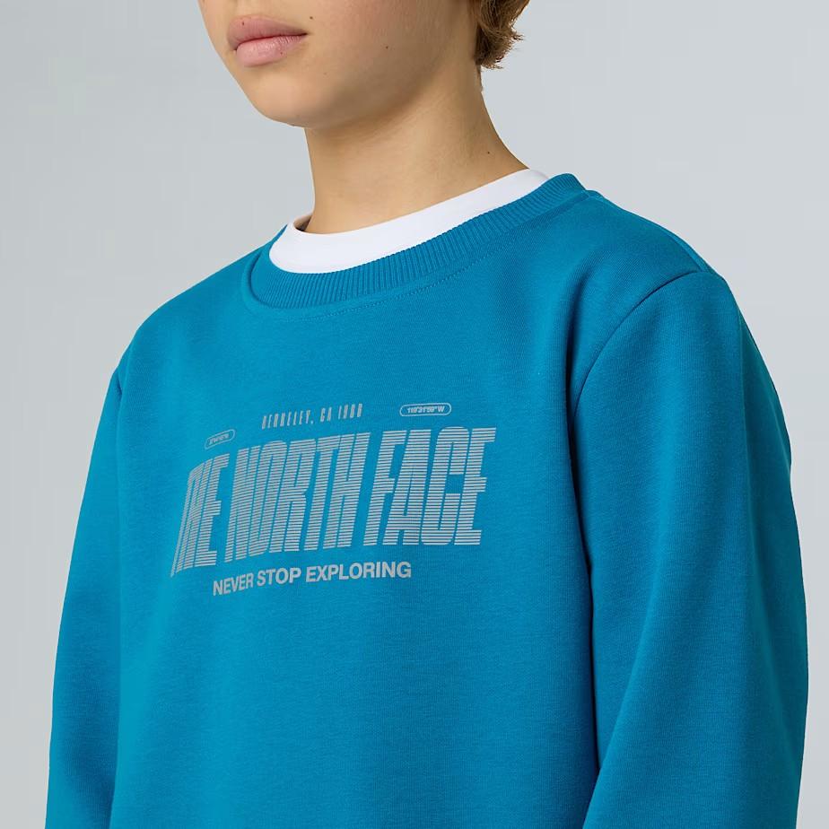 Felpa girocollo NF0A8EAT BOM1 THE NORTH FACE 
