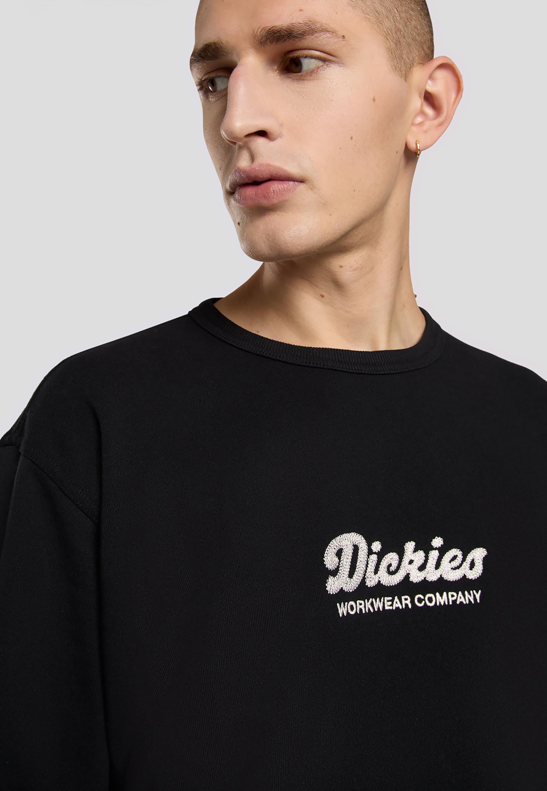 Felpa Lewistown DK0A8682 BLK1 DICKIES 