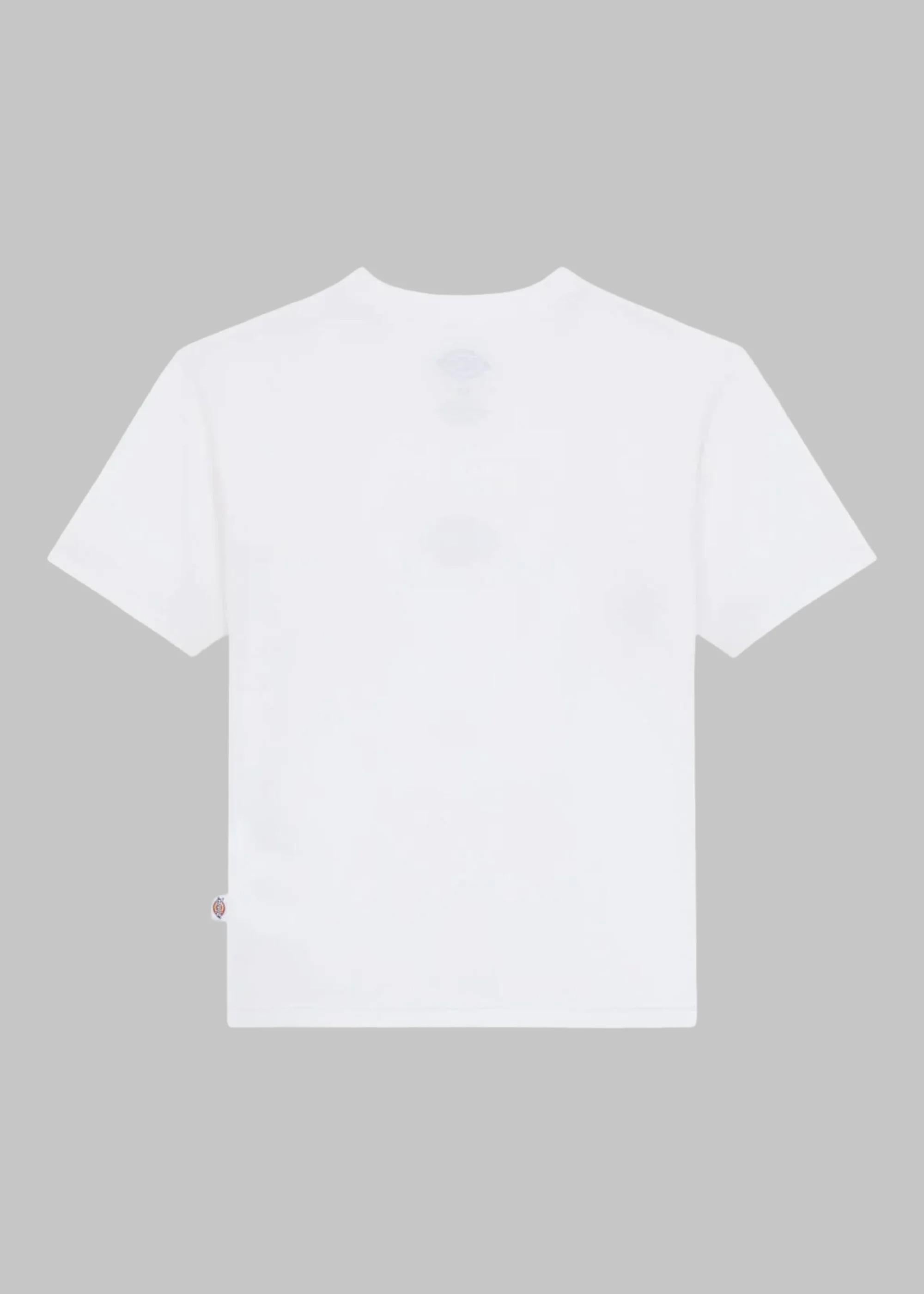 Maple valley reg tee DK0A4ZAO OWH1 DICKIES 