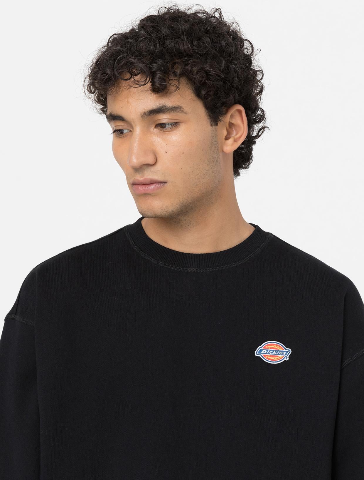 Felpa Millersburg DK0A4YLZ BLK1 DICKIES 