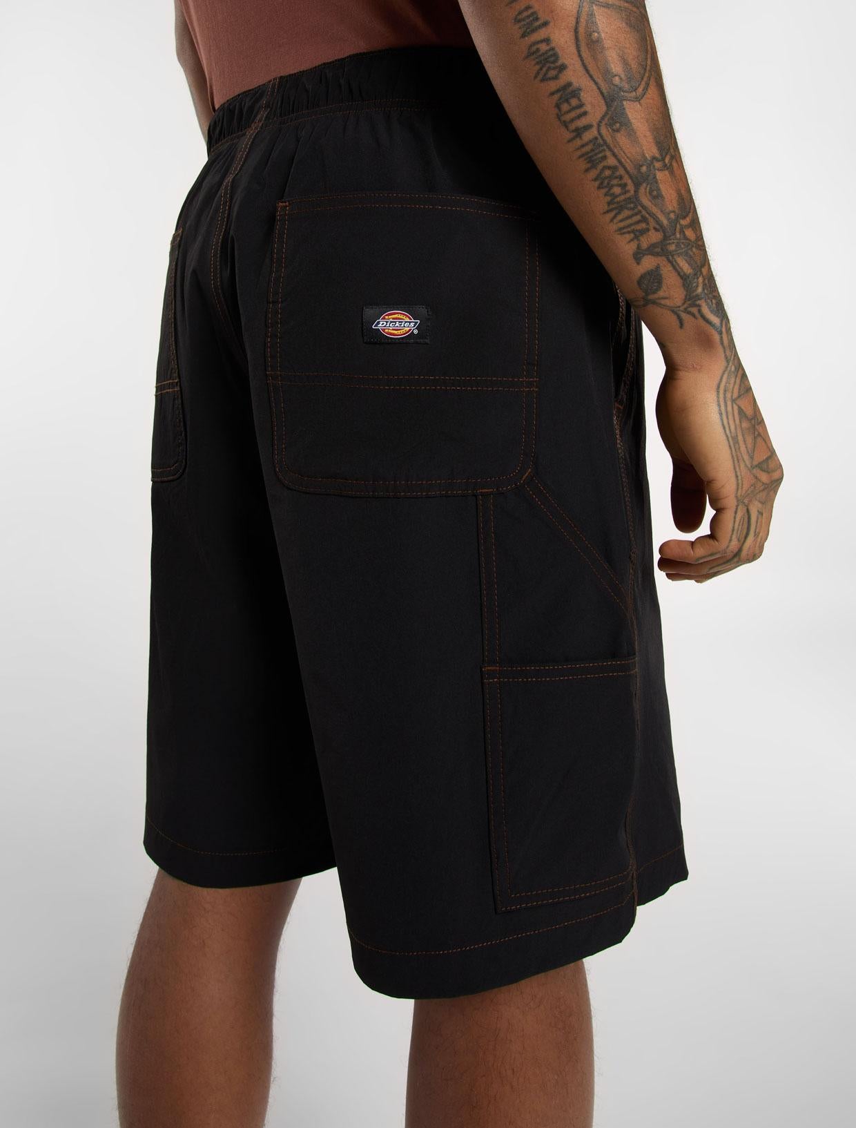 Shorts Wilsall Carpenter DK0A4Z7X BLK1 DICKIES 